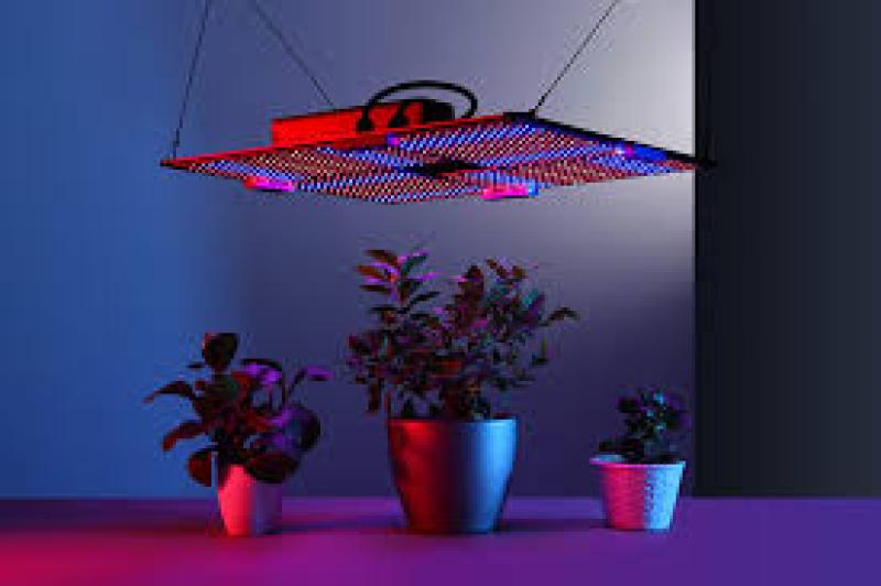 خرید لامپ رشد گیاه [فروش ویژه+100 محصول چراغ ال ای دی گیاه]