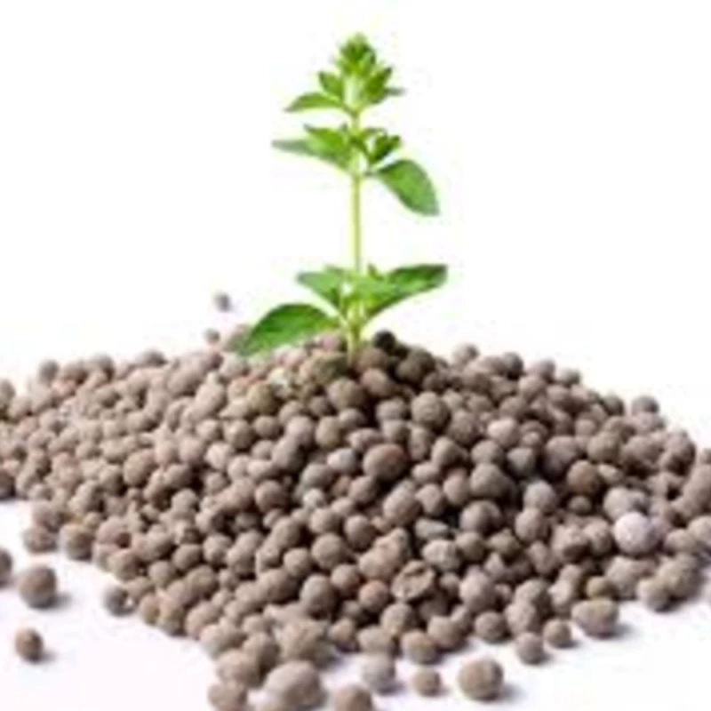 آشنایی با خواص و ویژگیهای کود سوپر فسفات ساده