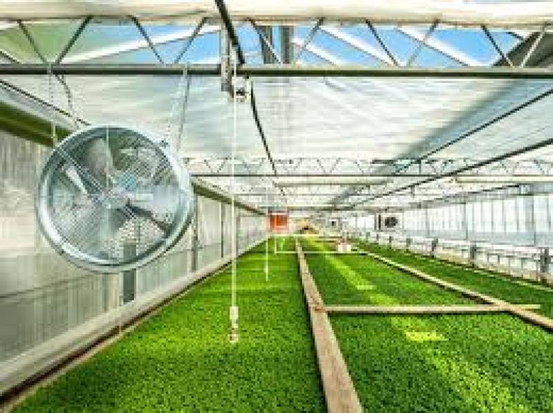 فن سیرکوله  و قیمت فن سیرکوله