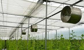 فن سیرکوله  و قیمت فن سیرکوله