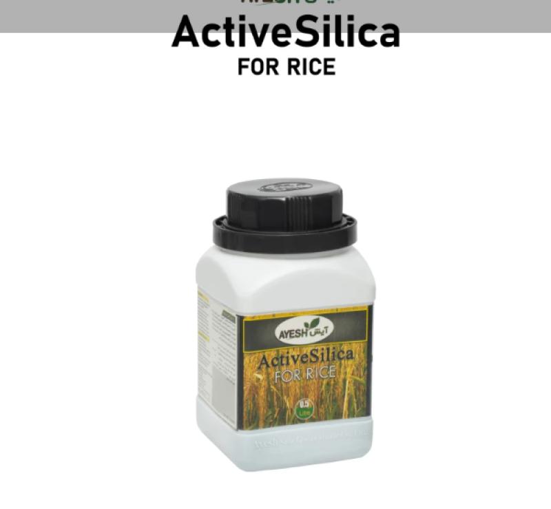 بررسی کامل مقدار مصرف سیلیکات پتاسیم برای گیاهان مختلف