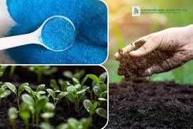 سولفات مس چیست