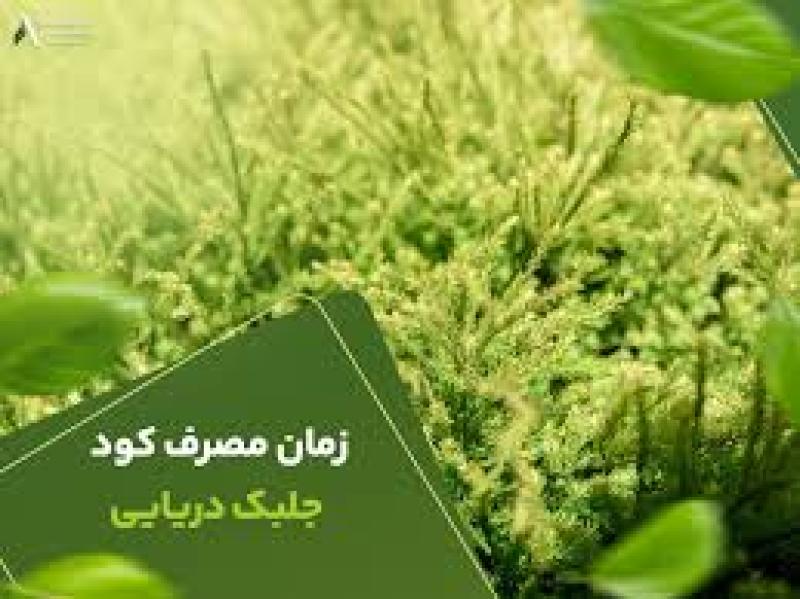 کود جلبک دریایی 1404 (مزایا و نحوه استفاده)