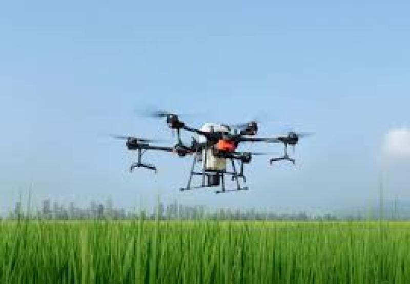 سمپاشی با پهپاد در کشاورزی