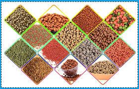 انواع خوراک آبزیان:SFT,FFT,GFT,BFT
