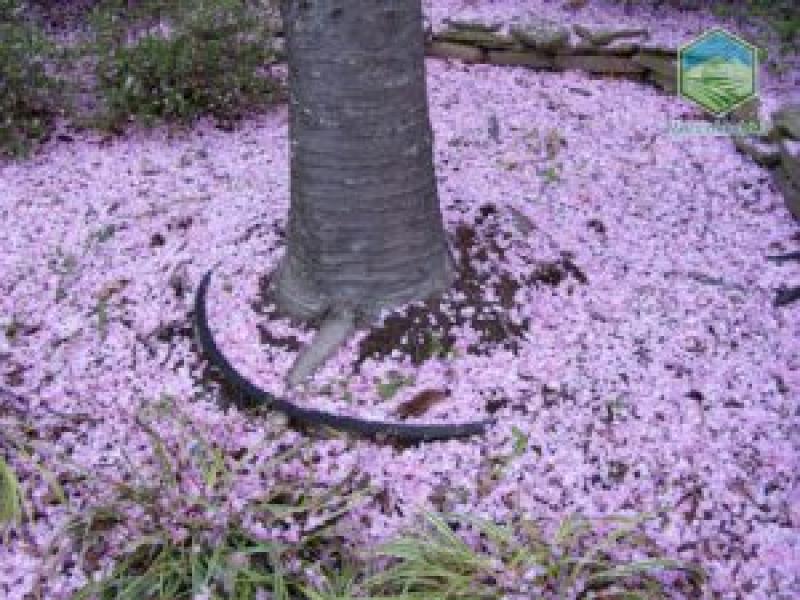 کود جلوگیری از ریزش گل و میوه در درختان