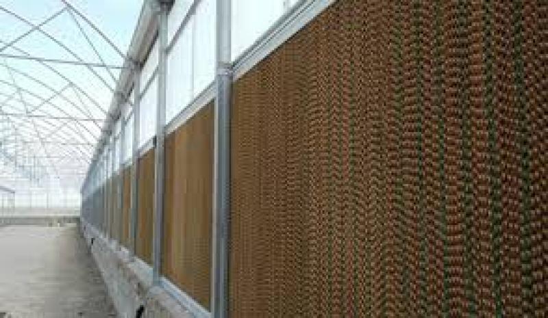 راهنمای جامع سیستم فن و پد گلخانه و مزایای شگفت‌انگیز فن و پد گلخانه