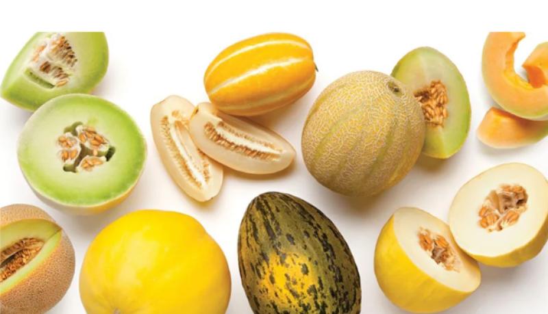 خرید انواع بذر ملون، بذر خربزه و بذر طالبی