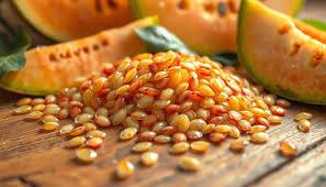 خرید انواع بذر ملون، بذر خربزه و بذر طالبی