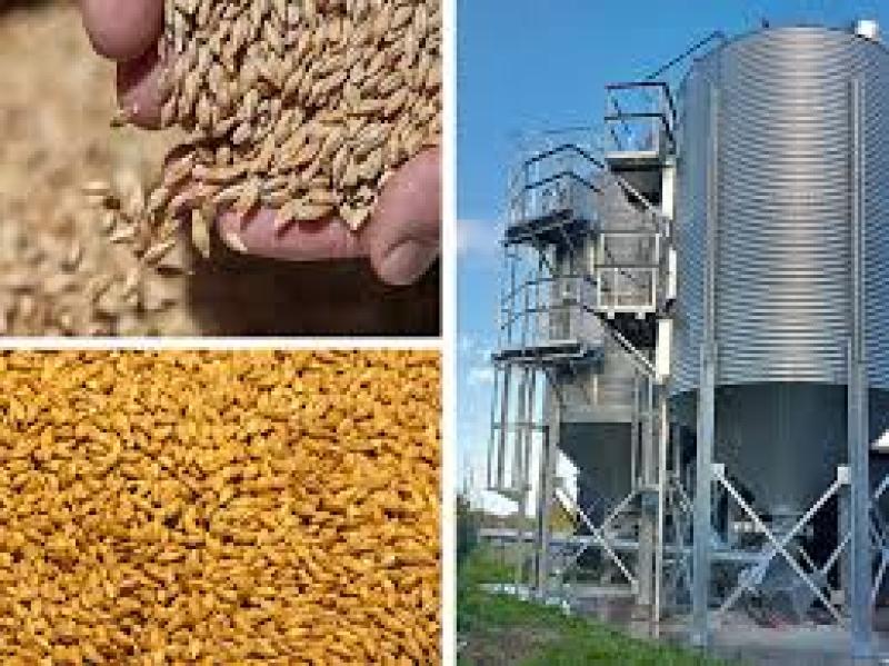 سیلو ذخیره دانه و غلات | انواع و کاربردهای عملی در کشاورزی و دامپروری