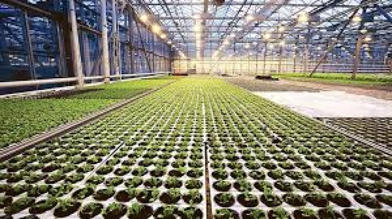 پروژه اتوماسیون گلخانه