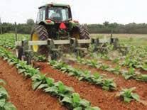 شخم زن علفتراش | وجین کن سله شکن