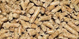 کنجاله کلزا