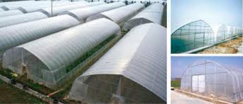 بررسی صفر تا صد سازه  گلخانه ایرانی