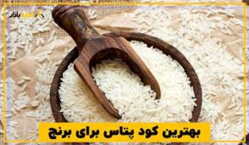 مقدار مصرف کود پتاس برای هر درخت