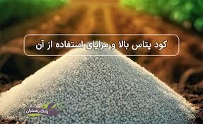 مقدار مصرف کود پتاس برای هر درخت