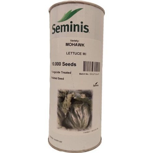 بذر کاهو ماهک سمینیس