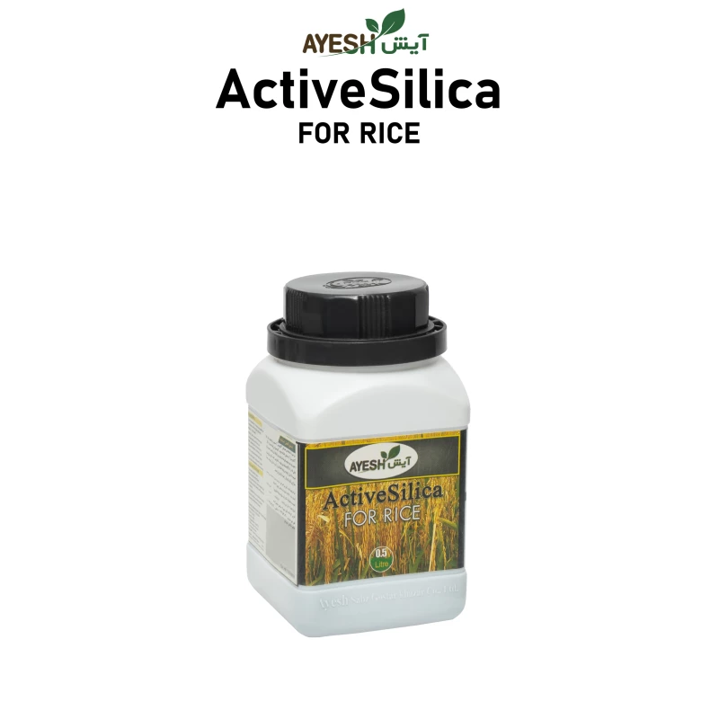 کود سیلیکاتپتاسیم مایع(اکتیوسیل)برنج آیش  0.5لیتری