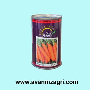 بذر هویج سوپر نانتس هورسان بذر