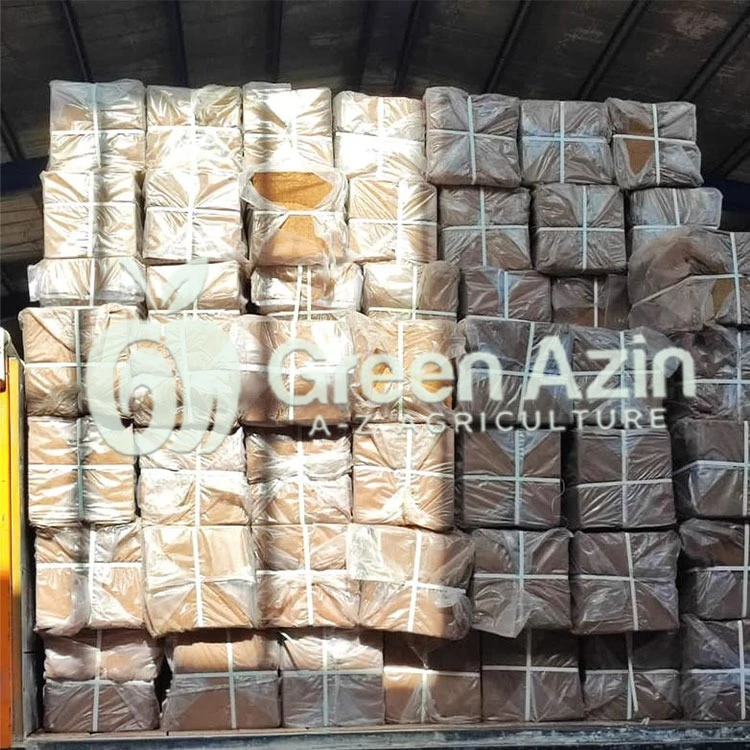 فروش عمده کوکوپیت فاین سریلانکایی قالب 70 لیتری