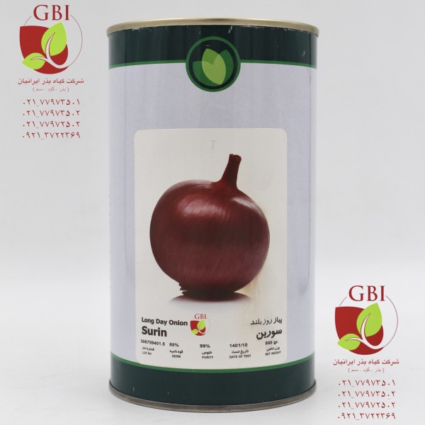 بذر پیاز قرمز سورین فلات