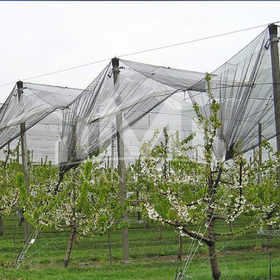 توری ضد تگرگ