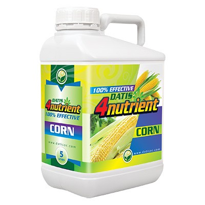 کود توصیه شده برای ذرت