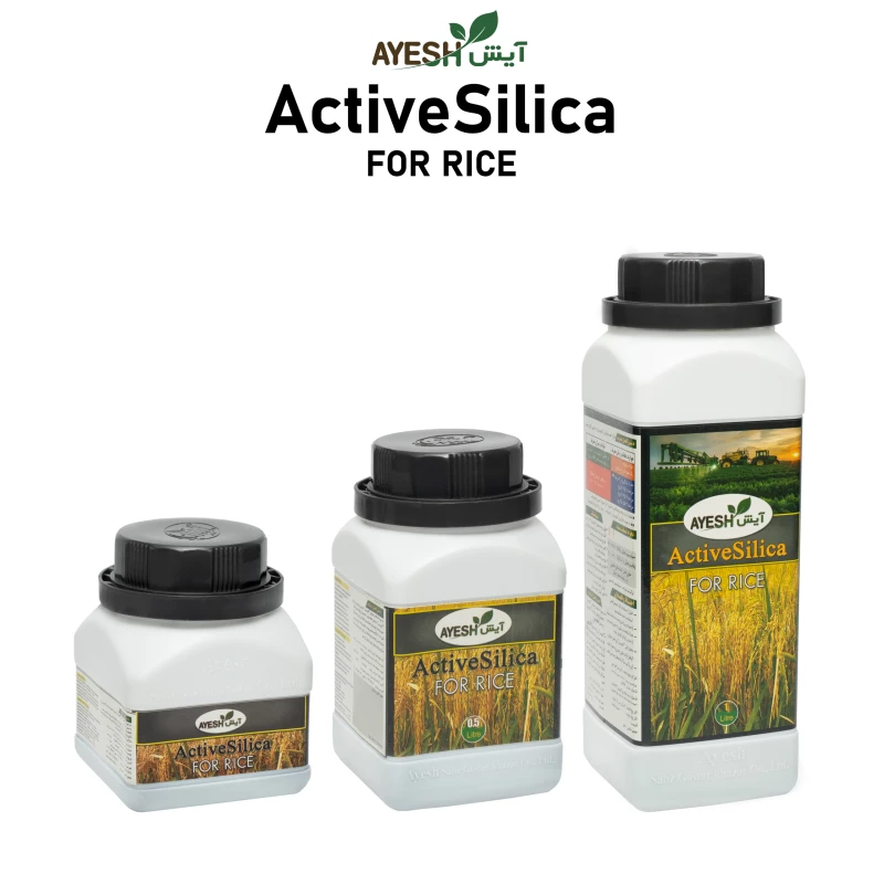 کود سیلیکاتپتاسیم مایع(اکتیوسیل)برنج آیش  0.5لیتری