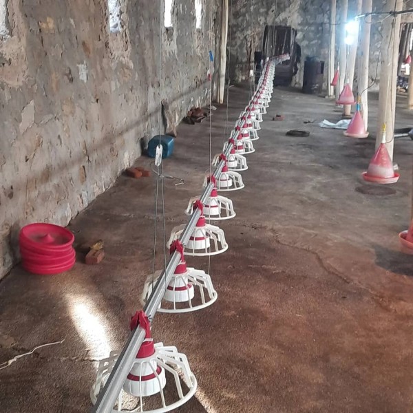 دانخوری بشقابی پارس