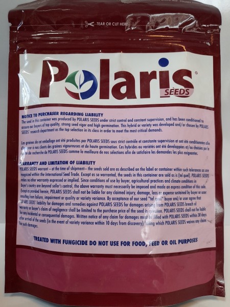 بذر کدو هیبرید چنس Chance F1