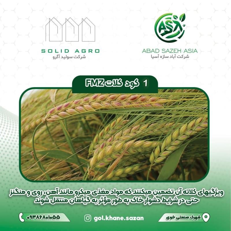 کلات آهن FMZ لاگون اسپانیا 1 لیتری