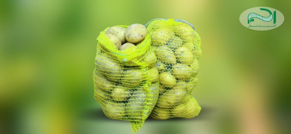 توری راشل سیب زمینی