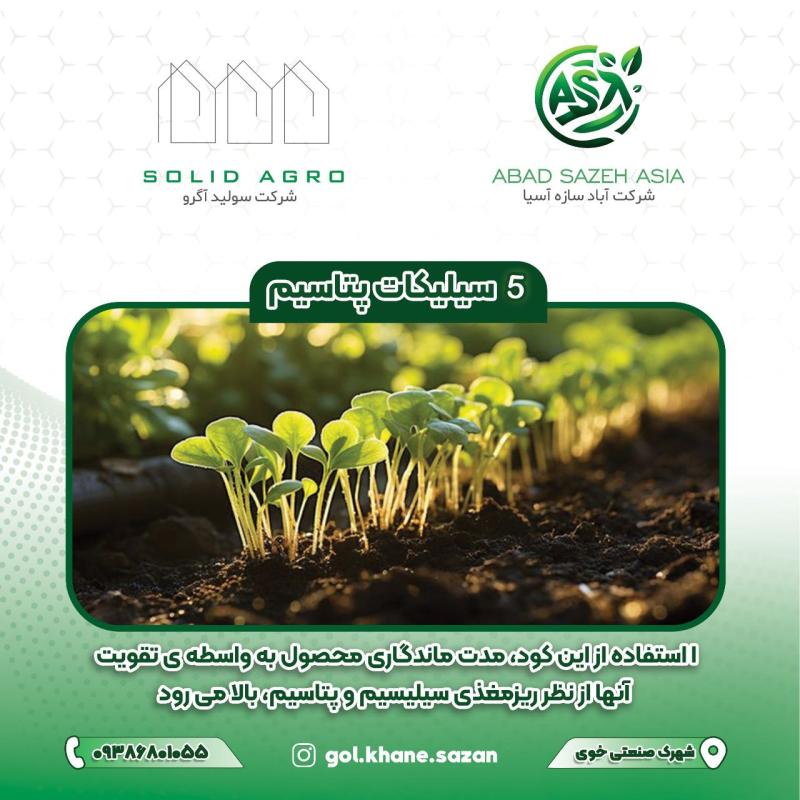 سیلیکات پتاسیم مایع 1 لیتری لاگون اسپانیا