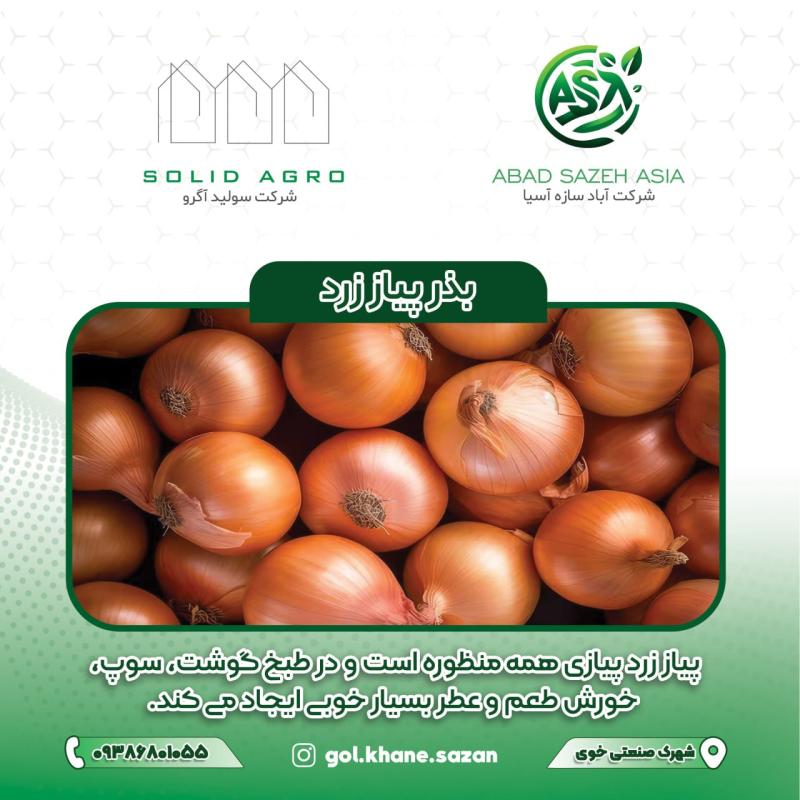 بذر پیاز زرد پاکت 50 گرمی ( عاملیت پخش : آباد سازه آسیا )