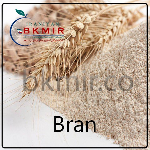 سبوس گندم