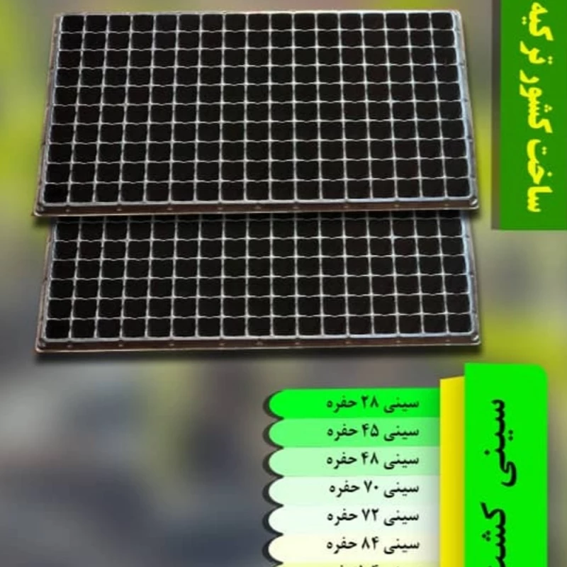 سینی کشت نشا