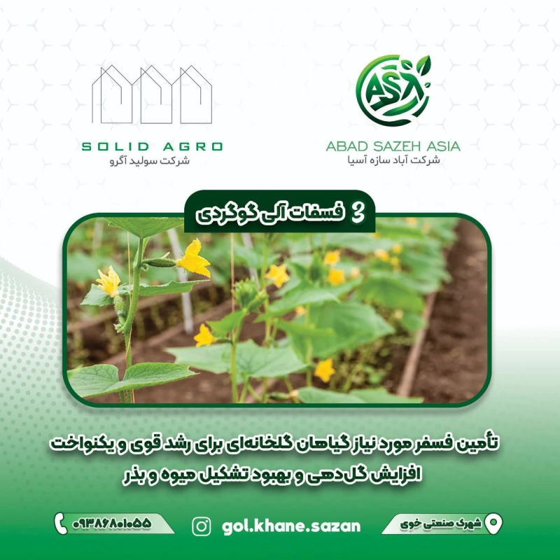 کود فسفات آلی گوگردی لاگون اسپانیا 25 کیلویی ( فروش به قیمت عمده با شرایط 5 ماهه بدون درصد)