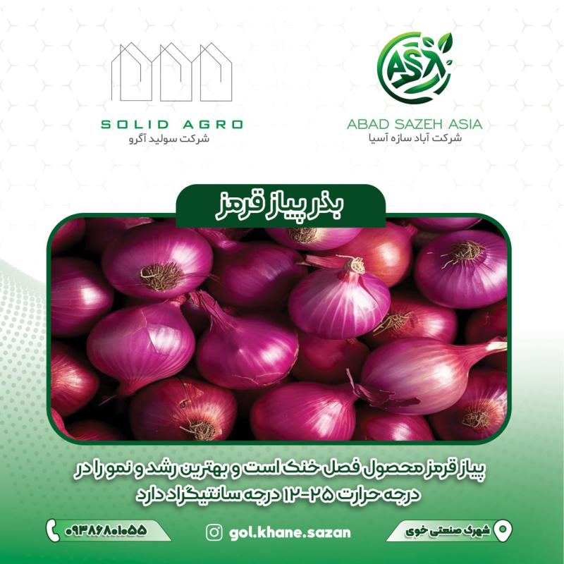 بذر پیاز قرمز پاکت 50 گرمی ( عاملیت فروش: آباد سازه آسیا )