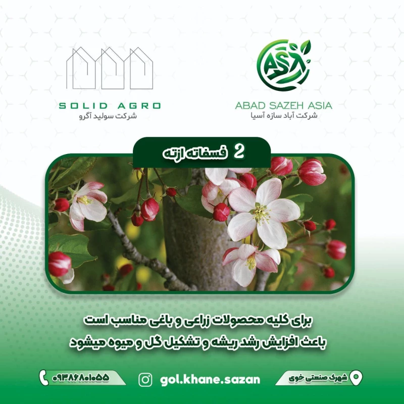 کود فسفاته ازته لاگون اسپانیا 50 کیلویی ( فروش به قیمت عمده با شرایط 5 ماهه بدون درصد)