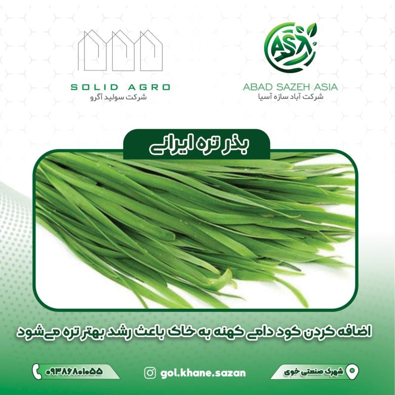 بذر تره ایرانی پاکت 150 گرمی