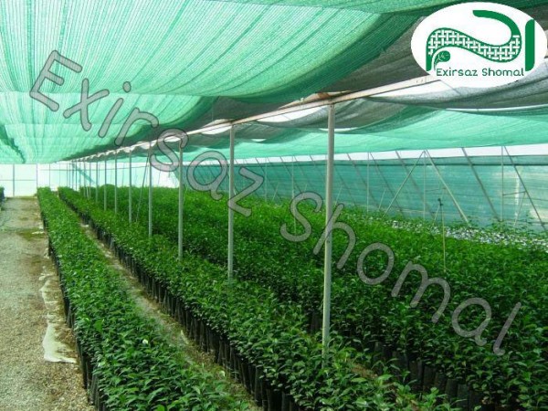 توری سایبان سبز تیره 50%