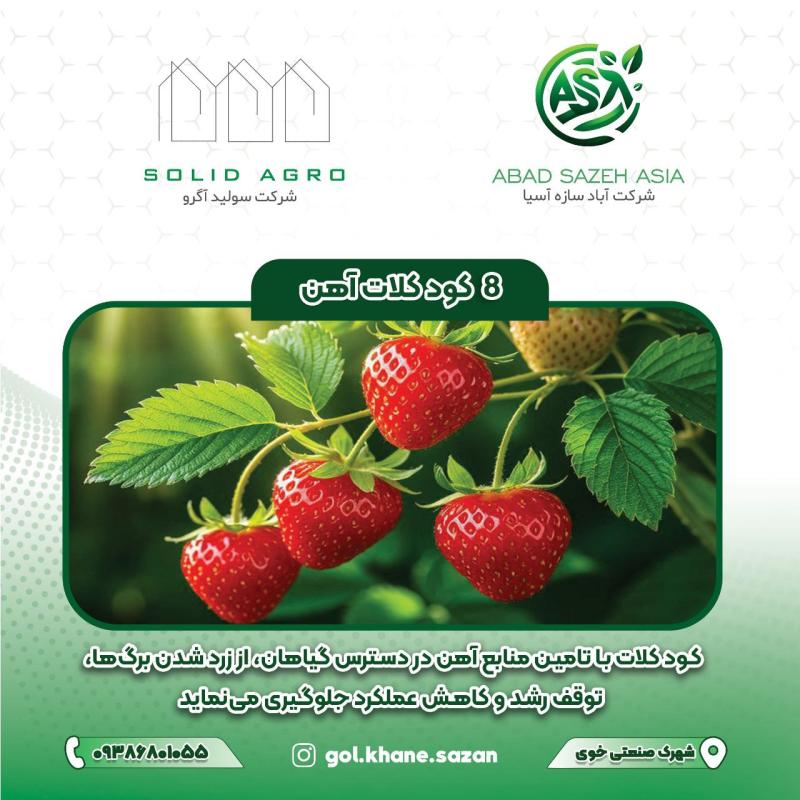 کلات آهن 1 کیلو گرمی لاگون اسپانیا