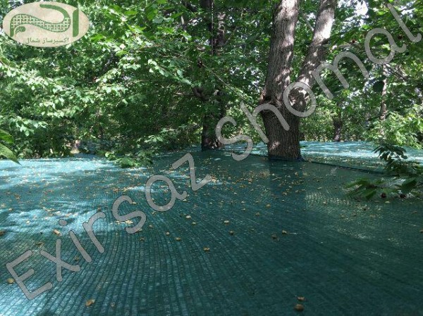 شبکه جمع آوری محصول