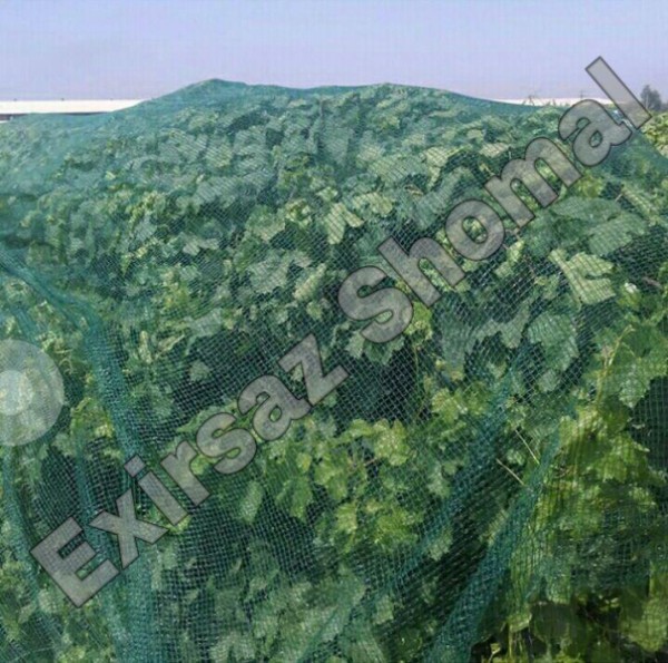 توری ضد پرنده