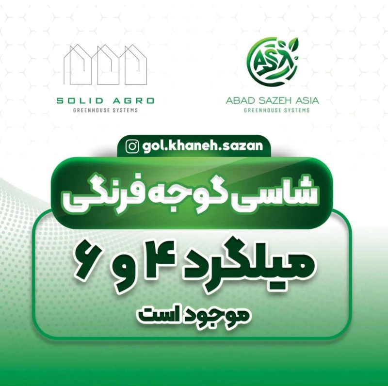 شاسی گوجه فرنگی