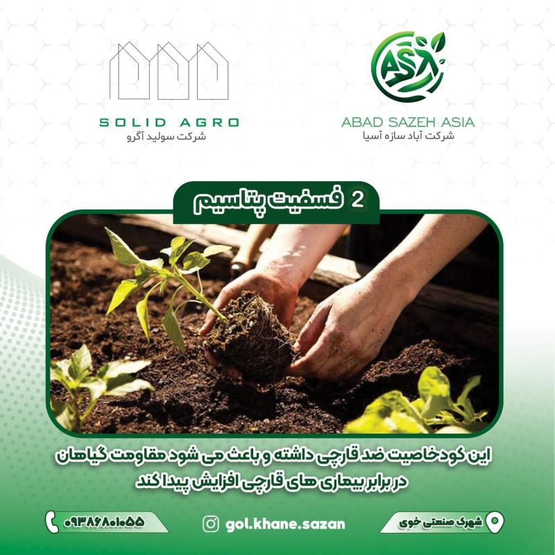 فسفیت پتاسیم 1 لیتری لاگون اسپانیا