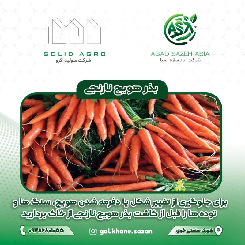 بذر هویج نارنجی  پاکت 60 گرمی