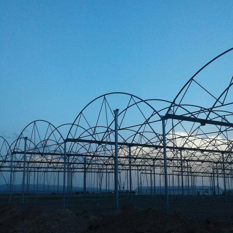 گلخانه طرح سیرکولار