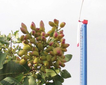 ماشین تولید باد جهت جلوگیری از سرمازدگی محصولات کشاورزی