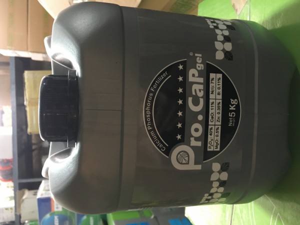 کود ژله ای فسفر و کلسیم